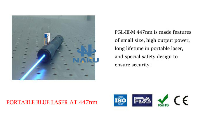 447nm 447nm Portable Blue Laser 5~500mW